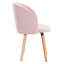 Jacalyn 47cm H Velvet Upholstered Side Chair-1667278761-1704106323