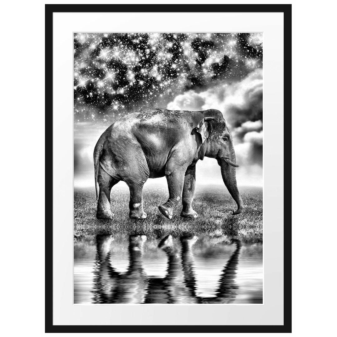 Gerahmtes Poster Elefant mit Sternenhimmel