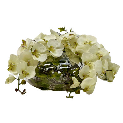 Orchidées enchantées