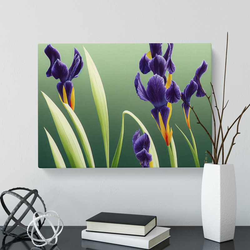 Shimmering Iris - Wrapped Canvas, 50cm H x 76cm W x 3cm D