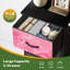 4 Drawer Vertical Storage Dresser Pink Heart Star Neon Glow Sparkling Accents with Wood Top Fabric Pull Drawers