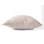 Coussin Ikat-108050259-108050254