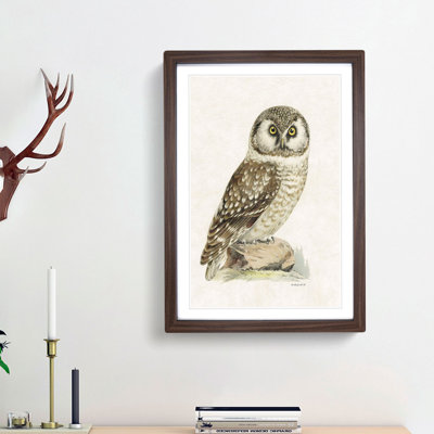 Boreal Owl by Von Wright - Picture Frame Painting Print