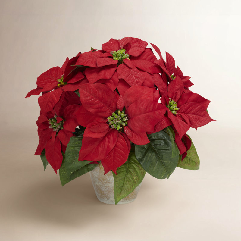 Arrangement floral dans un vase