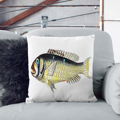 Square Throw Cushion