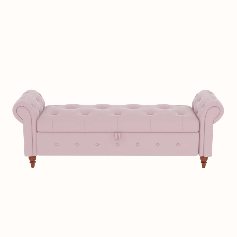 Banc de rangement rembourré en polyester Alleisha, Rose