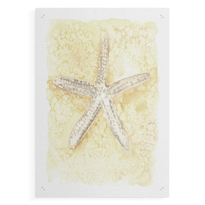 Salty Seashell I - Impression sur toile seulement - NON-CADRE