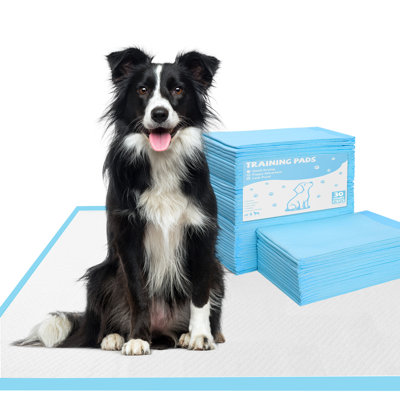 Coussins pour chiots, coussins de peluche pour l'entraînement à la propreté, 6 couches ultra-absorbantes avec surface imperméable, séchage rapide
