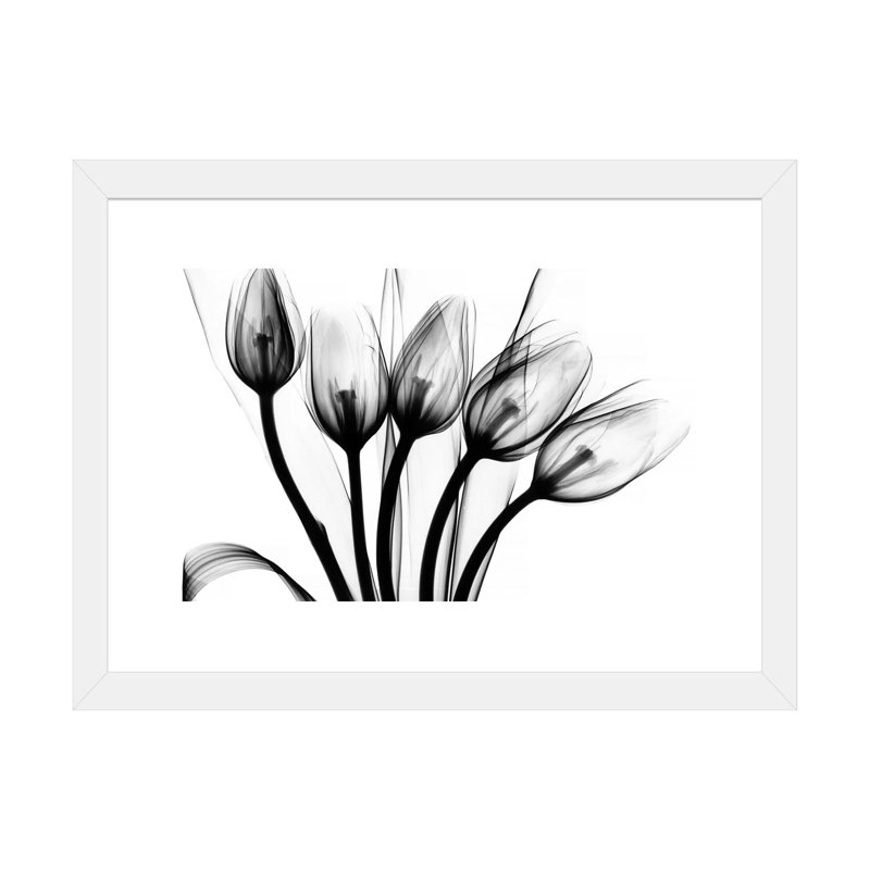 «Marching Tulips» par Albert Koetsier - impression d'art graphique, H 16 po x l 24 po x P 1 po, Papier encadré blanc