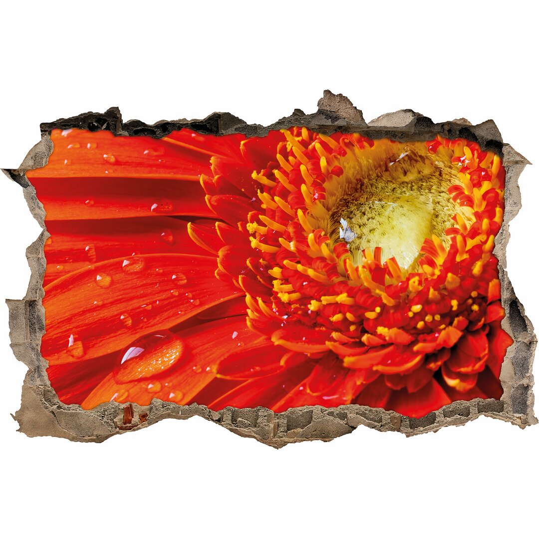 Wandtattoo Rote Gerbera mit Tautropfen