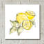 «Lemon Still Life I» par Chris Paschke - peinture sans cadre-340286586