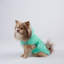 Couverture en polyester AQUA brodé PAW-57762340-57762343