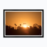 La Palm Sunset I Print by Tim Klein
