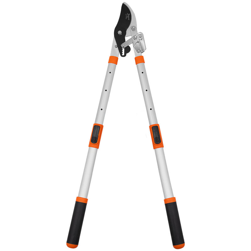 Outils de jardinage à cliquet