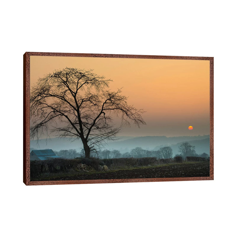 Morning Sun by Adelino Goncalves - Print on Canvas, 66.04 cm H x 45.72 cm W, Classic Brown Wood Framed
