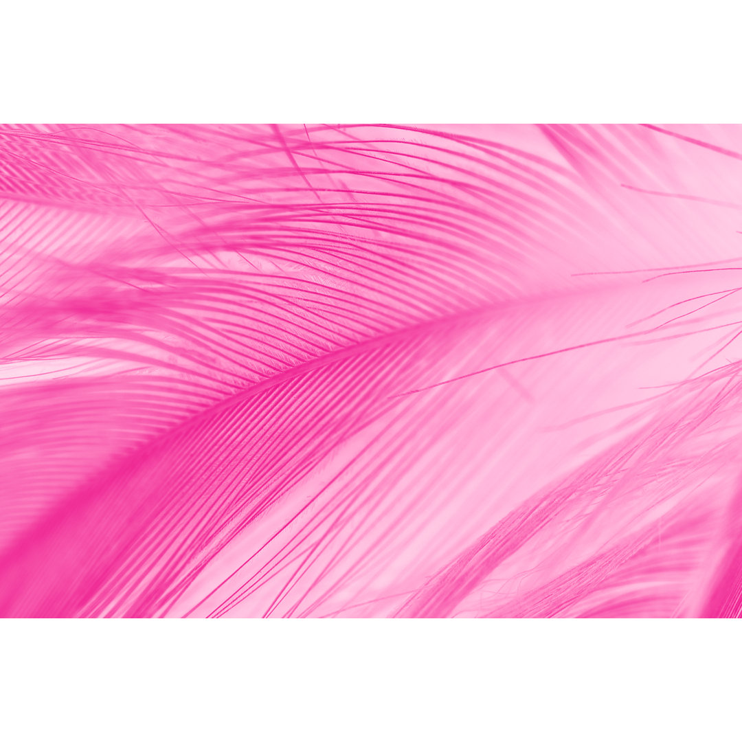 Beautiful Feather by Nadtytok - Wrapped Canvas Print