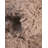 Indoor Rug-57466015