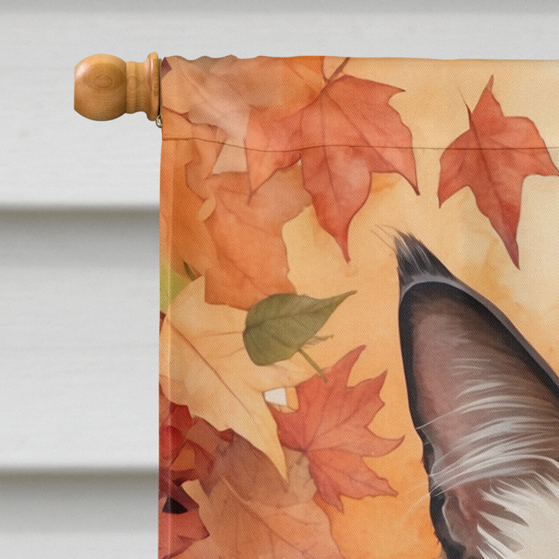 Chat en feuilles d'automne, Balinais