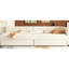 Lit double tapissier avec et 2 tiroirs, beige - construction solide, sans sommier tapissier, ports pour plateforme de perfectionnement de chambre à coucher, innovation