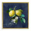 «Lemon Branches on Blue» par Danhui Nai-40573998-40574000