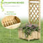 Tonnelle de jardin pour plantes grimpantes et treillis