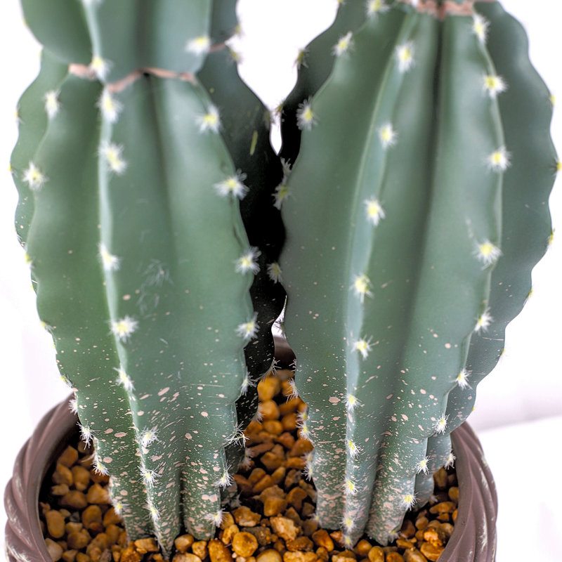 Artificial Cactus In EVA Flower Pot 26*25*88CM