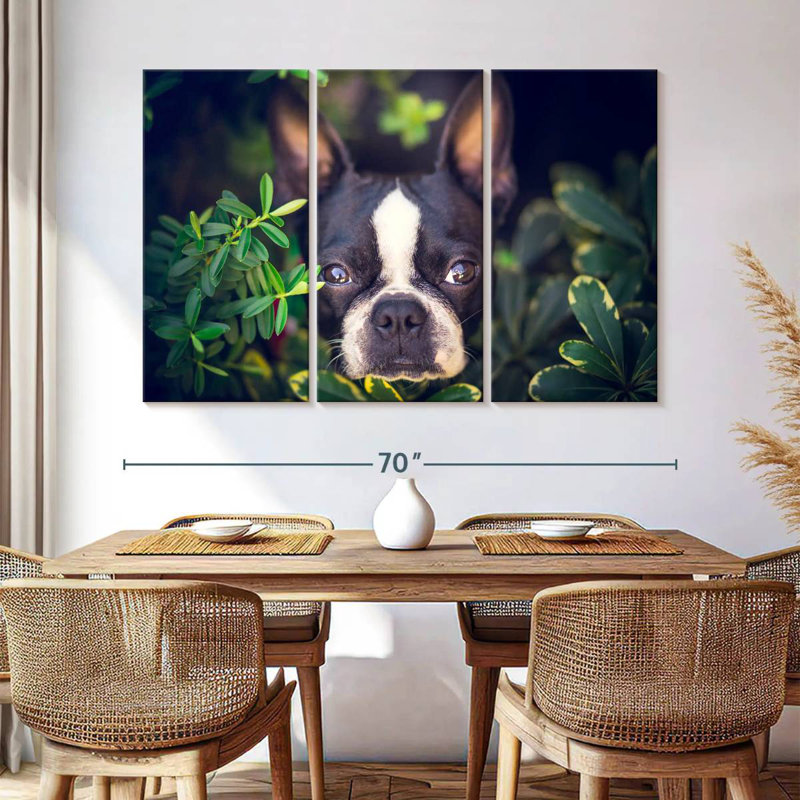Brampt Boston Terrier Hiding, 42" H x 65" W