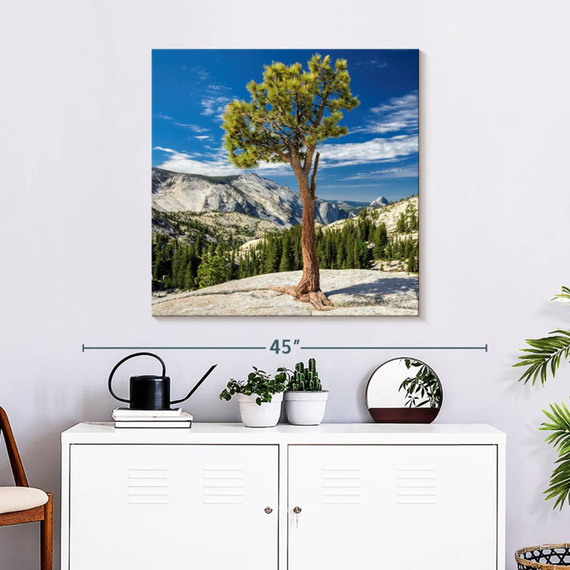 Arbre Harnek Yosemite Park, H 30 po x l 30 po