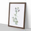 Spanish Clover Flowers by Pierre-Joseph Redoute - Picture Frame Painting Print-55618773-55618774
