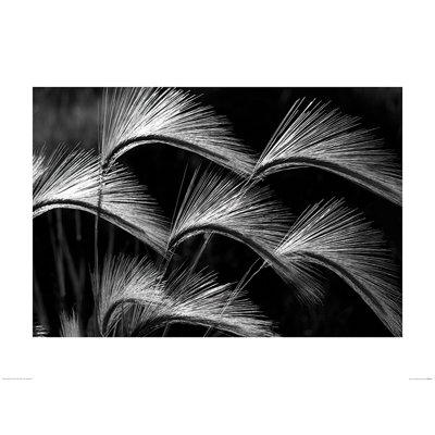 Print on Canvas