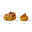 Thanksgiving Decorative Accent