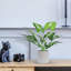 Ensemble de 2 fausses plantes en pot artificielles pour bureau-1318144059