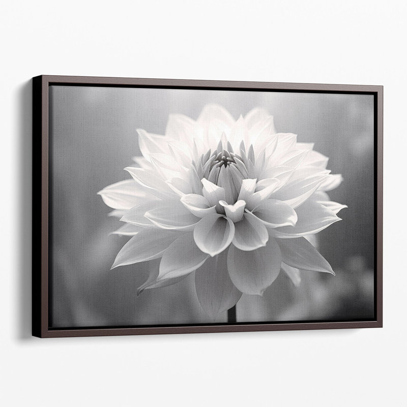 Douceur en monochrome, impression d'art mural, Papier non encadré, H 12 po x l 18 po x P 0,02 po
