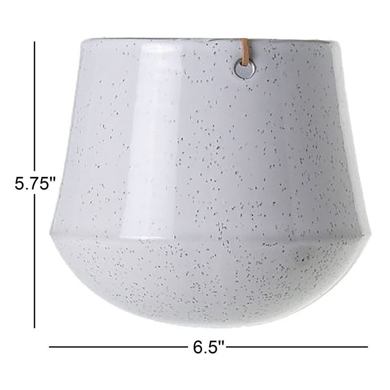 Carlena Ceramic Hanging Planter