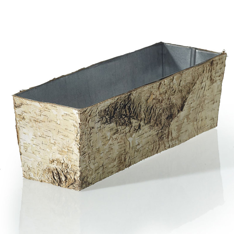 Boîte à fleurs en bois Brydie Birch, H 4 po x l 12 po x P 4 po