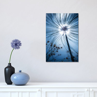 Jardin Botanique by Stefan Hefele - Wrapped Canvas Print