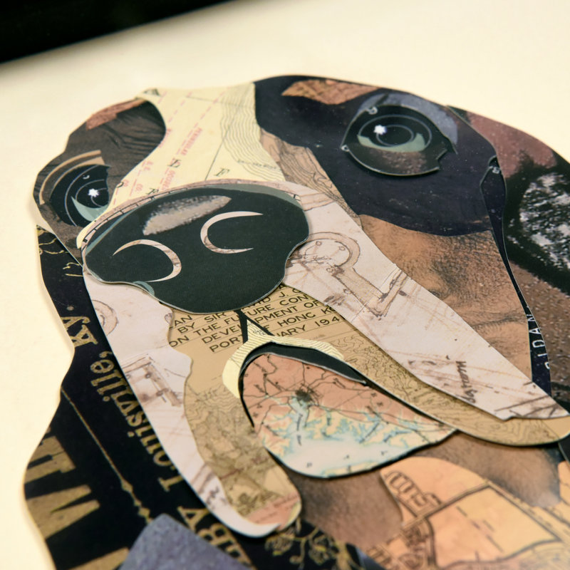 " Basset Hound " by Alex Zeng