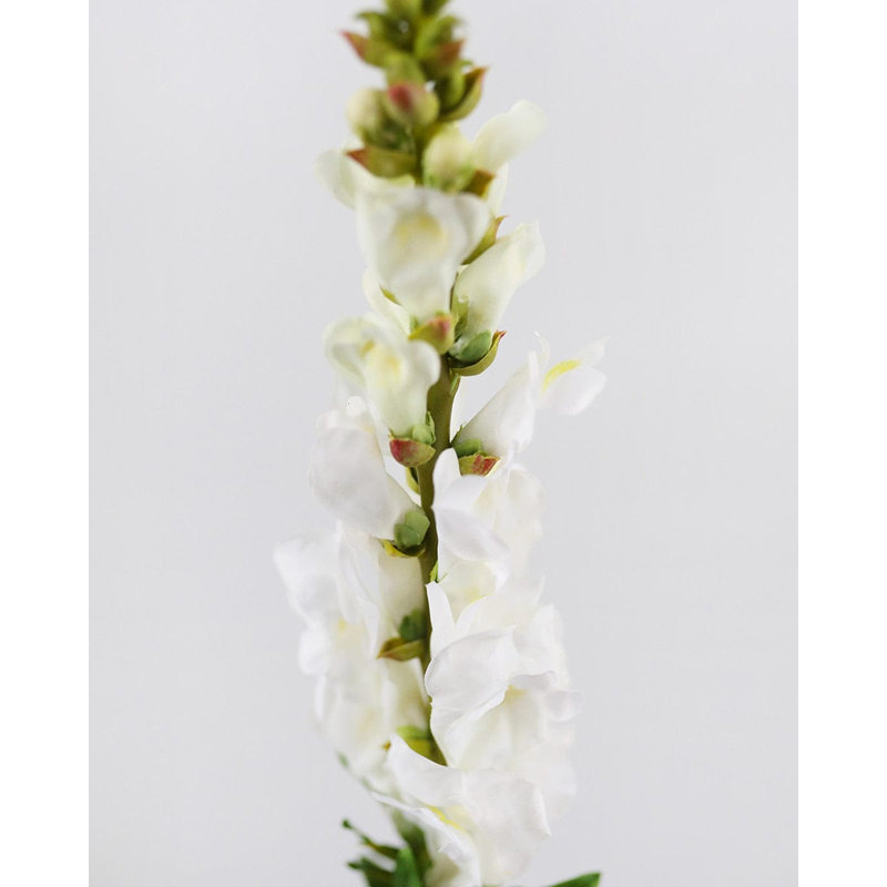 Véritable touche blanche 23 po Snapdragon, Blanc, crème