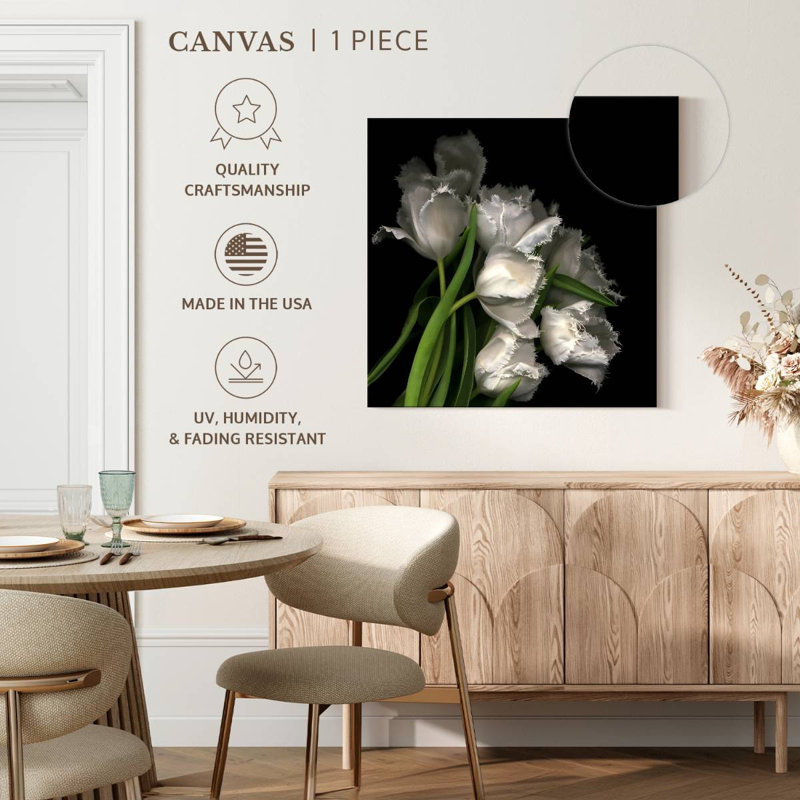 Tulipes Harnek, H 10 po x l 10 po