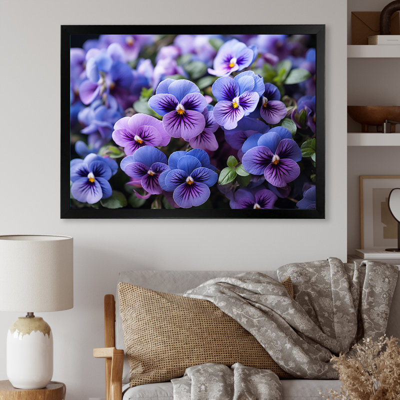«Purple Pansies Field Vibrant» sur toile, Cadre simple noir, H 12 po x l 20 po x P 1 po
