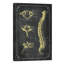 Bones Of The Spine by ChartSmartDecor - Print on Canvas-887648487-894163068