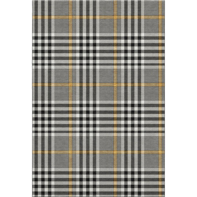 Premium Machine Washable Corry AMF1054 Plaid Rug