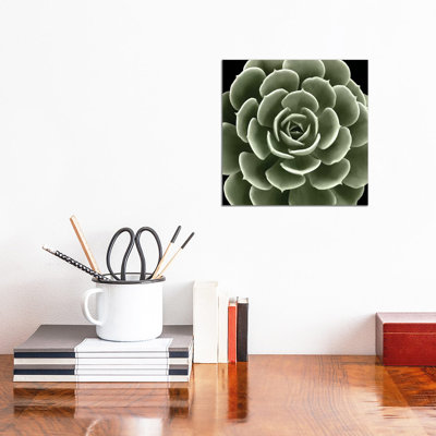 Green Succulent IV by Mia Jensen - Wrapped Canvas Print