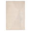 Barthelemy Ivory Area Rug - 6x9-803630169