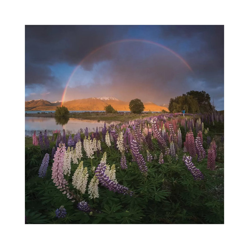 Spring In New Zealand VII by Daniel Kordan - Wrapped Canvas Gallery-Wrapped Canvas Giclée, 30.48 cm H x 30.48 cm W