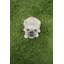 Statue bébé hurlant french bouledogue chiot