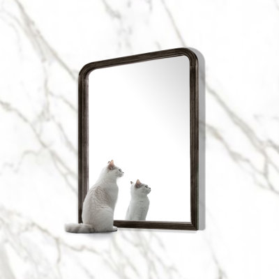 Bathroom/Vanity Wall Mirror with Wood Frame