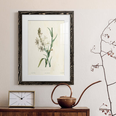 " Traditional Botanical IV "