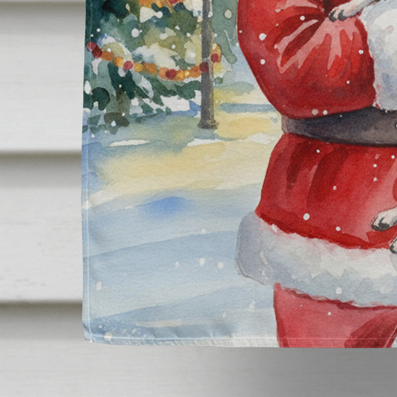 Dalmatien avec le drapeau de la maison du Père Noël, Taille de la maison, Dalmatien