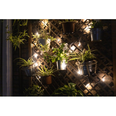 " Vertical Garden With Fairy Lights "